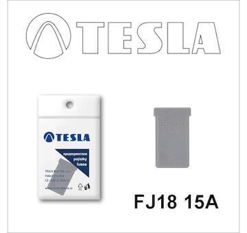 Poistka MCASE FJ18 15A TESLA