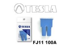 Poistka JCASE FJ11 100A TESLA