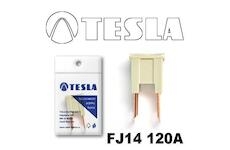 Poistka JCASE FJ14 120A TESLA